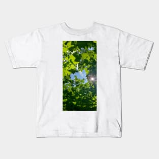 Sunny maple forest Kids T-Shirt